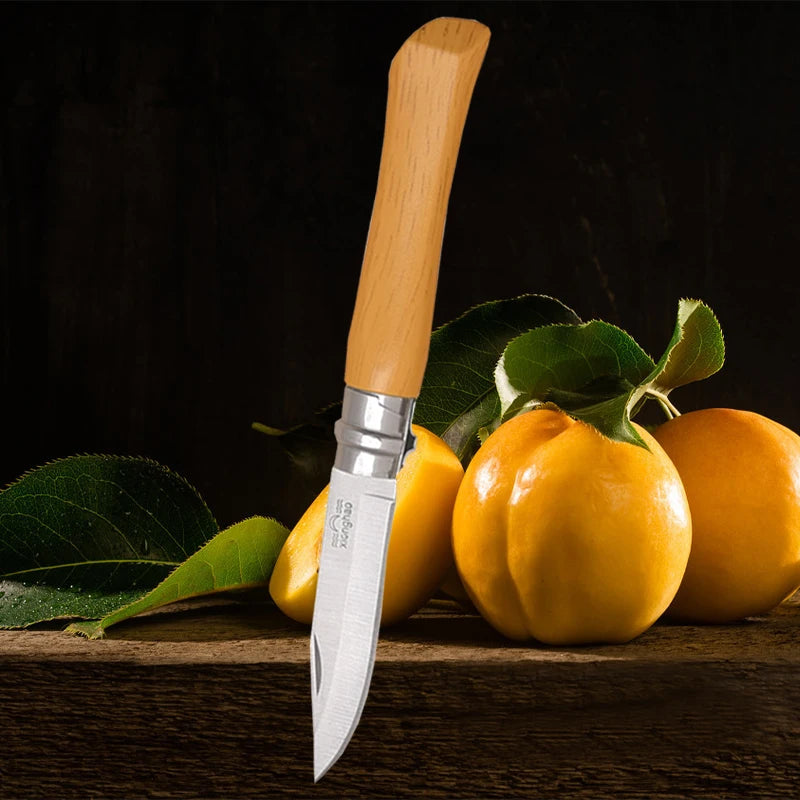 Household Folding Fruit Knife Stainless Steel Sharp Peeler Knife Vegetable and Fruit Slicing Knife Butcher's Meat Boning Knives