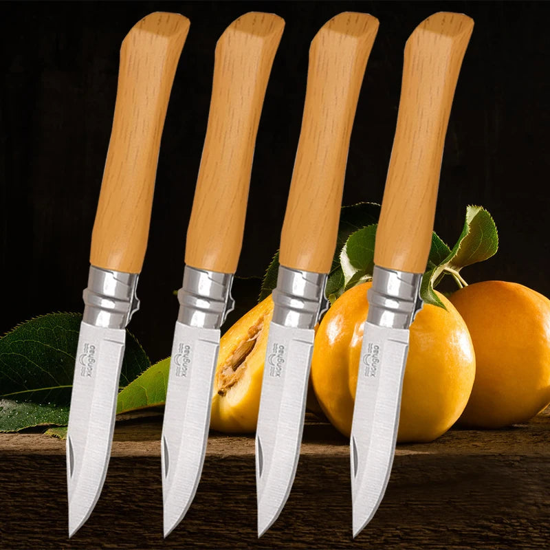 Household Folding Fruit Knife Stainless Steel Sharp Peeler Knife Vegetable and Fruit Slicing Knife Butcher's Meat Boning Knives