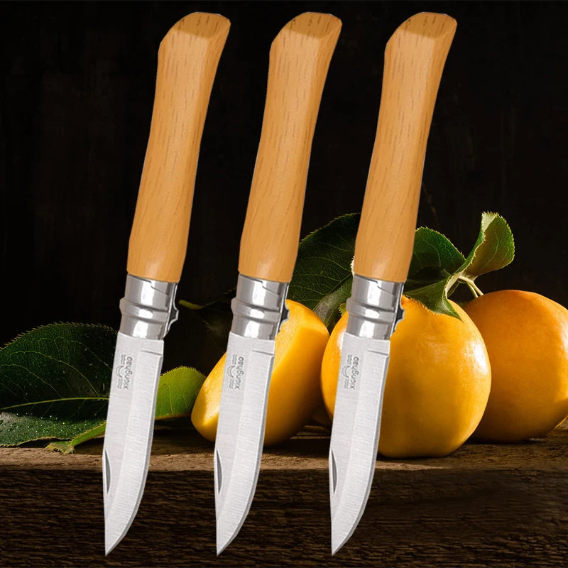 Household Folding Fruit Knife Stainless Steel Sharp Peeler Knife Vegetable and Fruit Slicing Knife Butcher's Meat Boning Knives