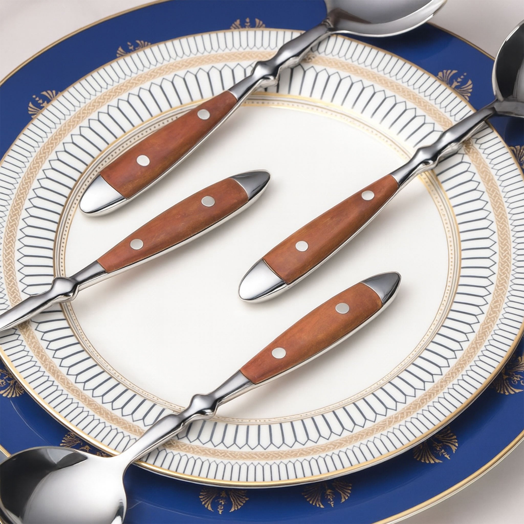 4Pcs Stainless Steel Soup Spoons with Bakelite Handle
