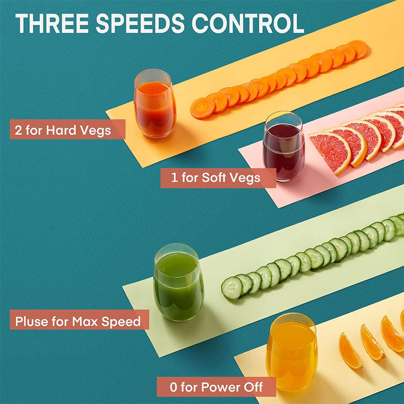 Electric Juicer Machine