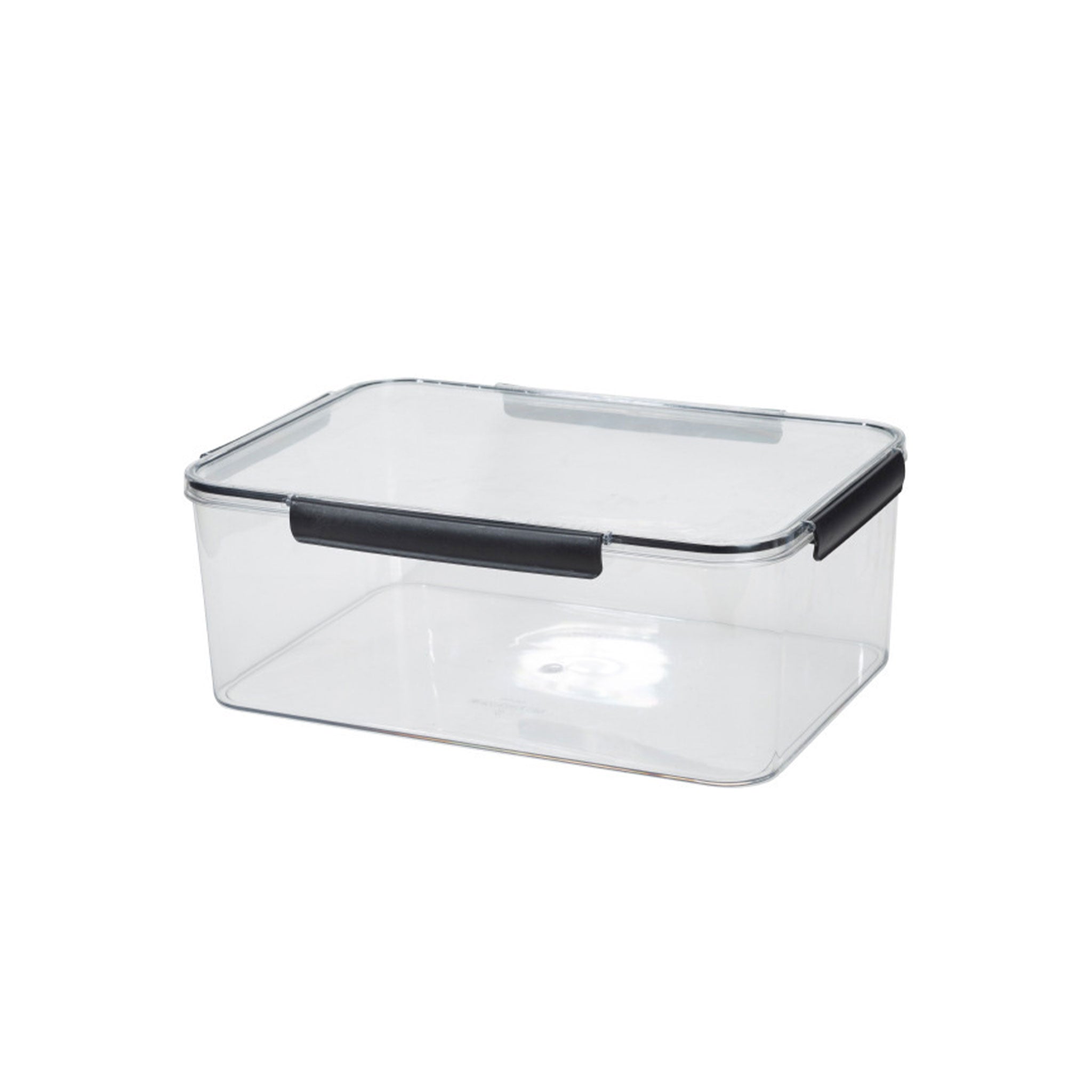 Extra Large Transparent Food Storage Box