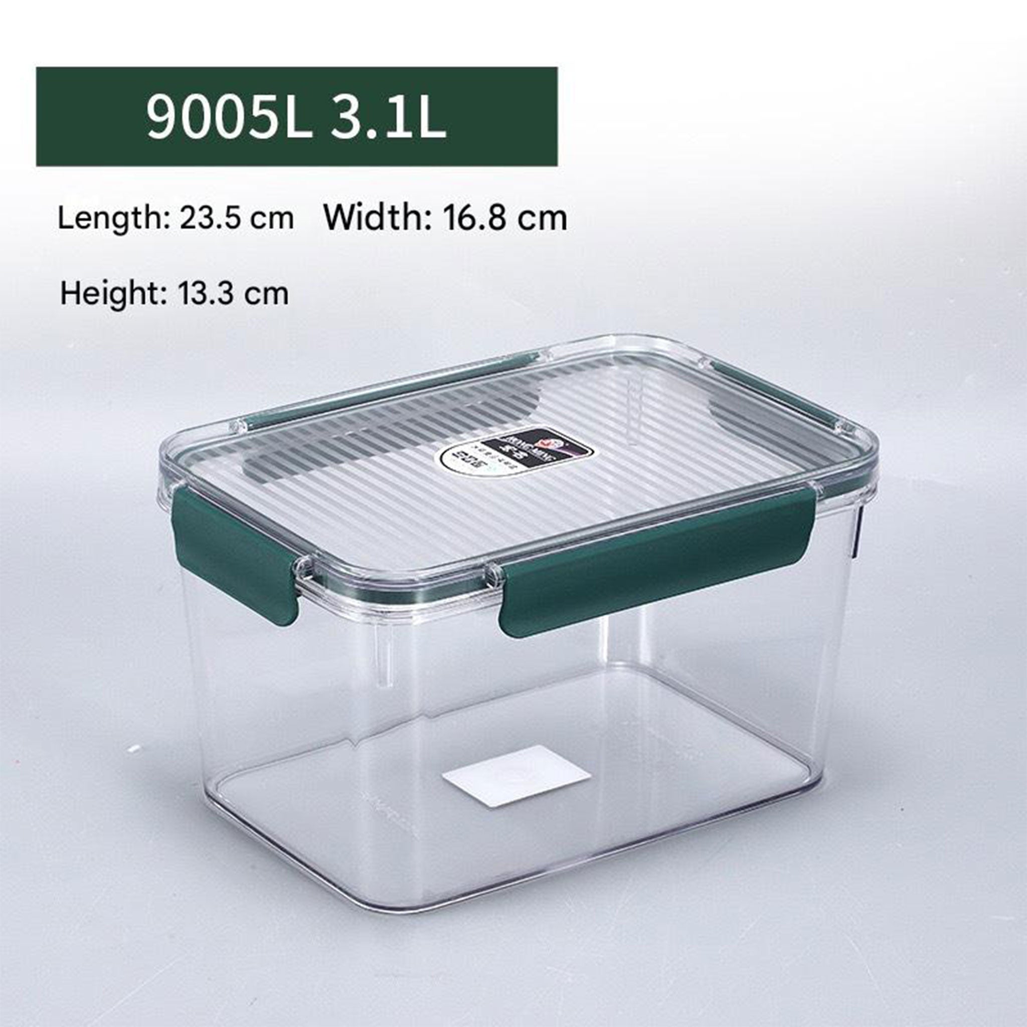 Extra Large Transparent Food Storage Box