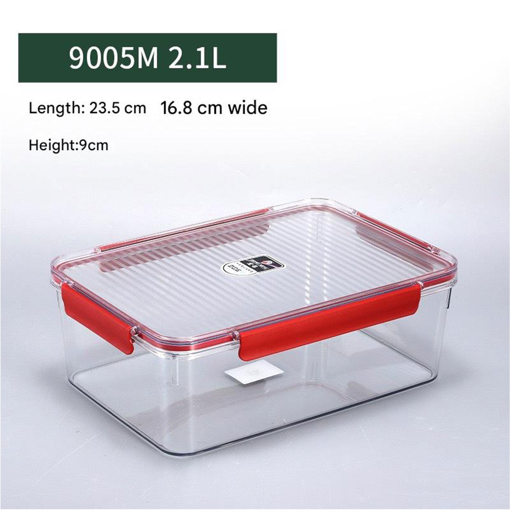 Extra Large Transparent Food Storage Box