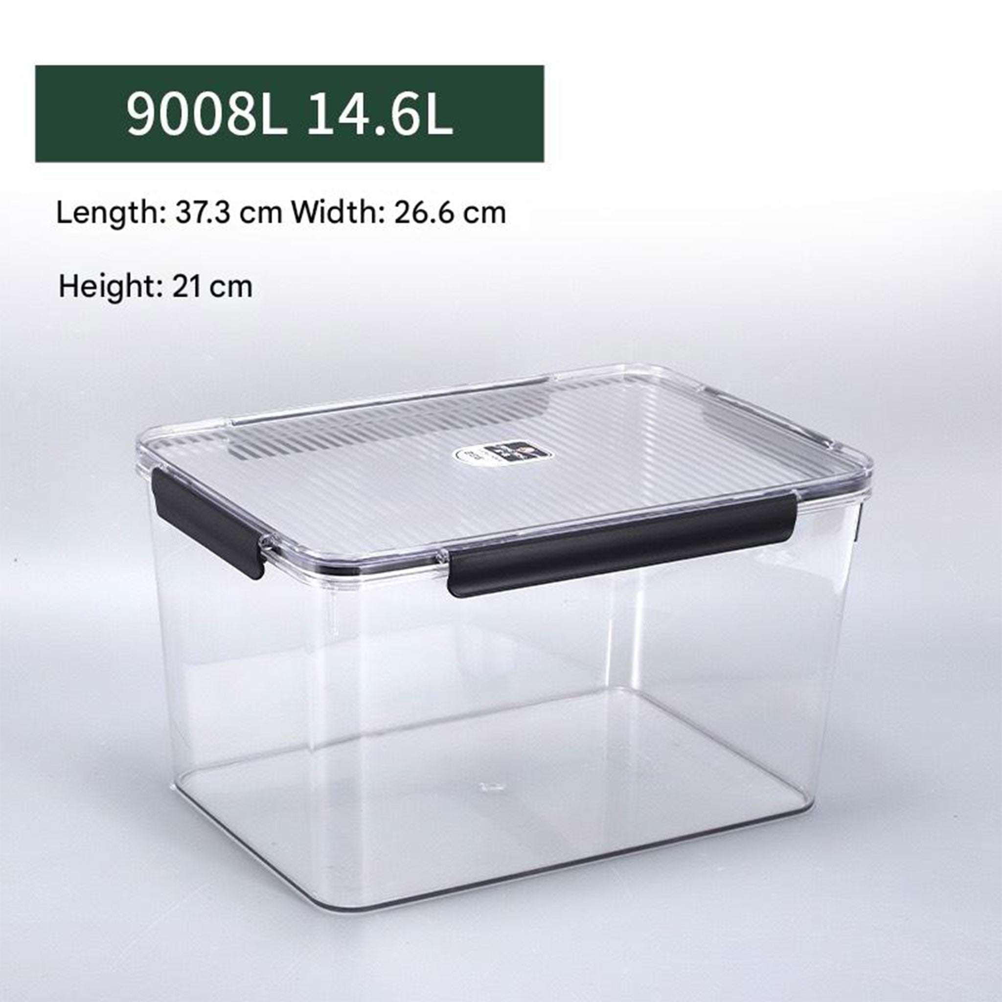 Extra Large Transparent Food Storage Box