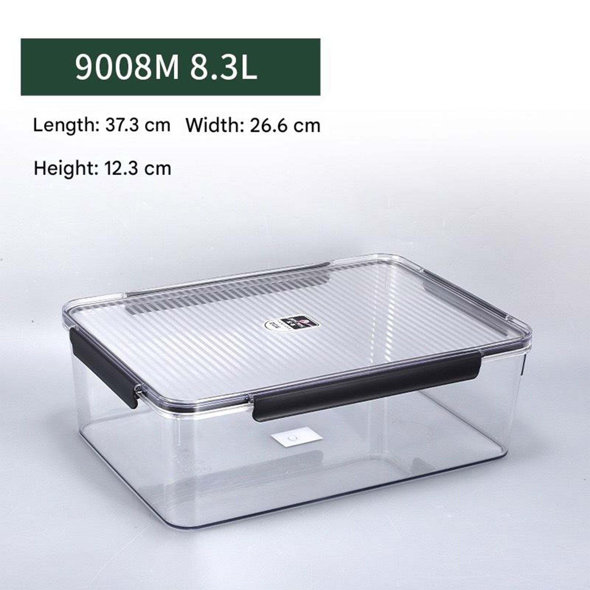 Extra Large Transparent Food Storage Box