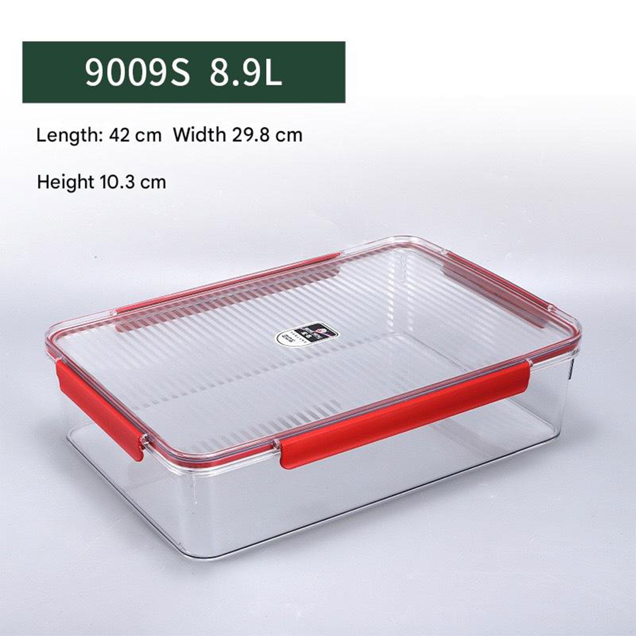 Extra Large Transparent Food Storage Box
