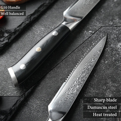 XITUO High Quality Damascus Steak Knife Set Japanes VG10 Steel Black G10 Handle Western Knife Home&Restaurant Dinner Meat Knives