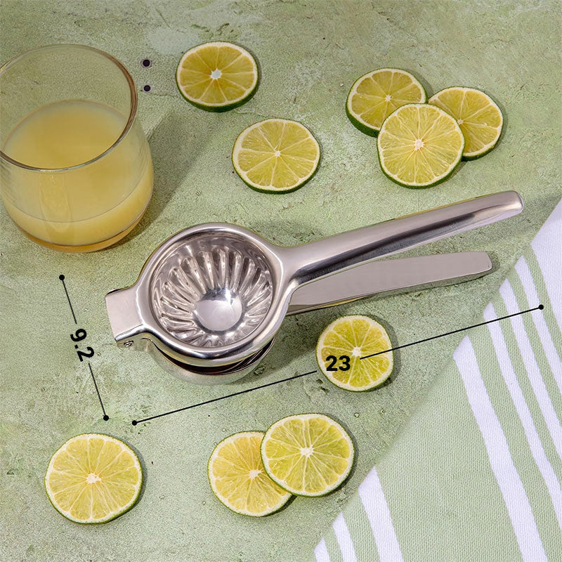 Heavy Duty Citrus Juicer