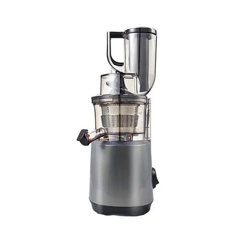 Hot sale in natrol pure copper motor large caliber slow speed original cold press slow masticating juicer wiktra