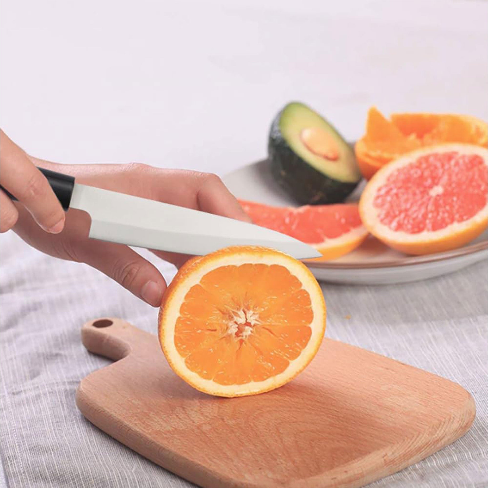 Japanese Stainless Steel Fish & Sushi Fillet Knife