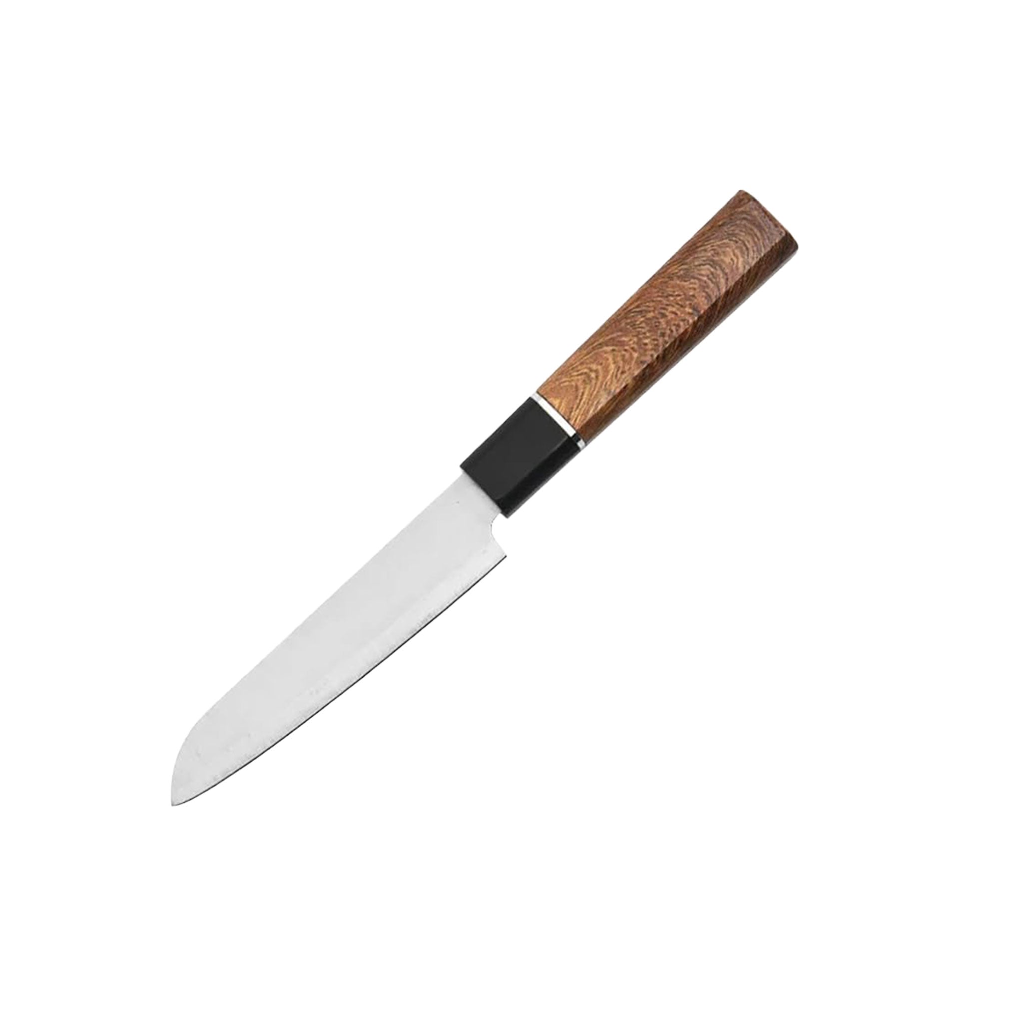 Japanese Stainless Steel Fish & Sushi Fillet Knife