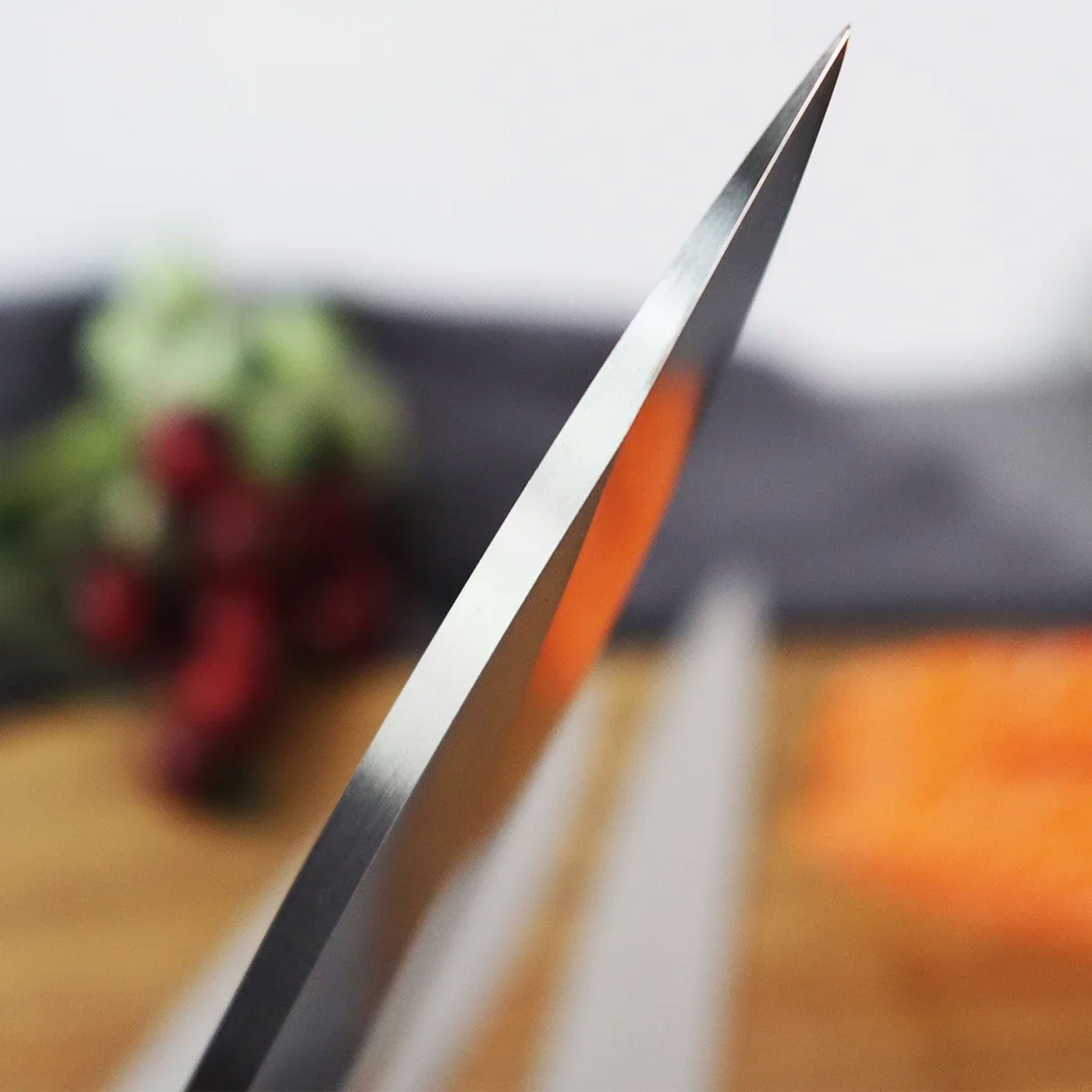 Japanese Stainless Steel Fish & Sushi Fillet Knife