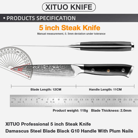 XITUO High Quality Damascus Steak Knife Set Japanes VG10 Steel Black G10 Handle Western Knife Home&Restaurant Dinner Meat Knives