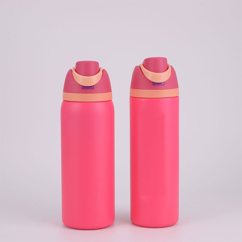 Stainless Steel Fruit Sports Water Cup