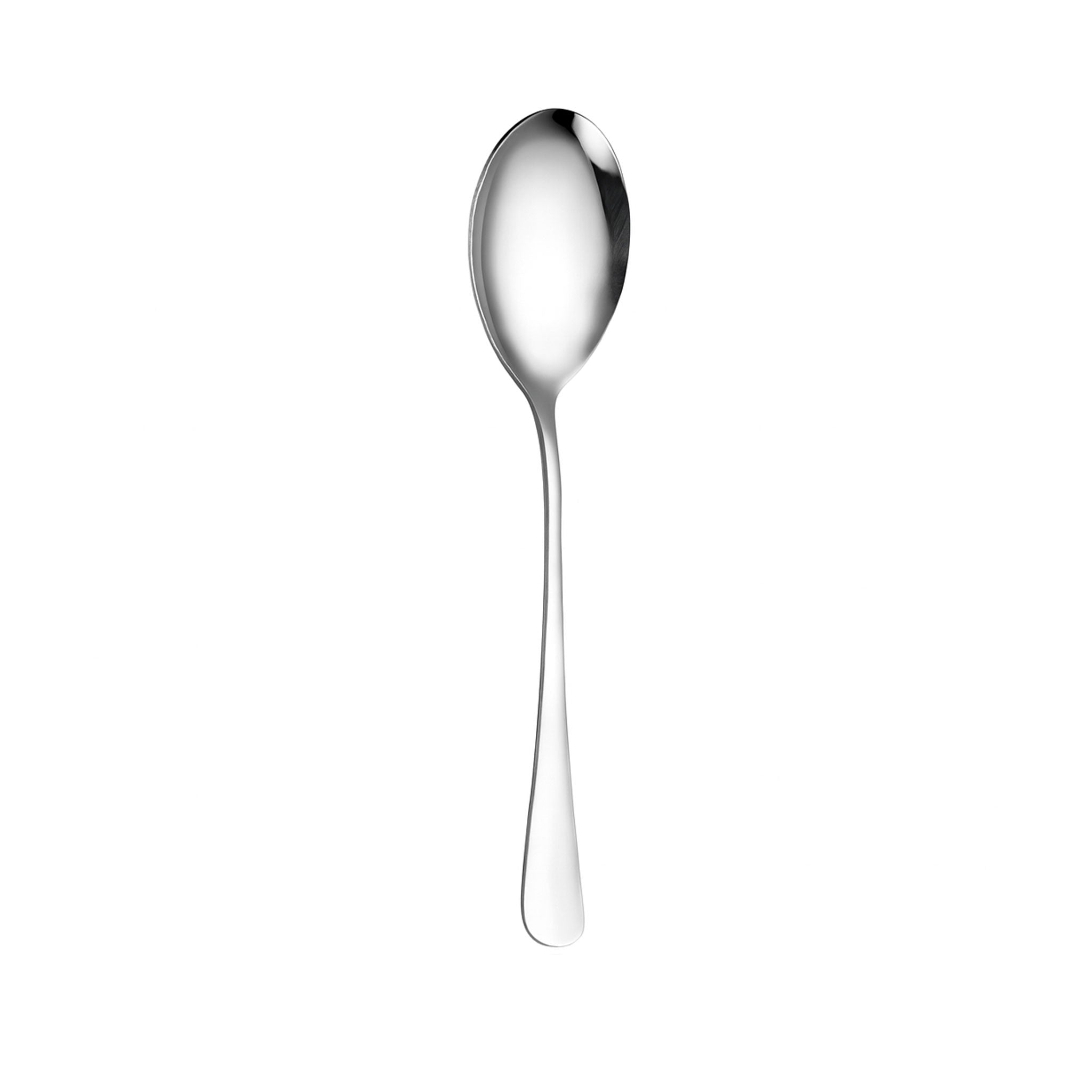 Stainless Steel Long Handle Rice Serving Spoon – Large Capacity