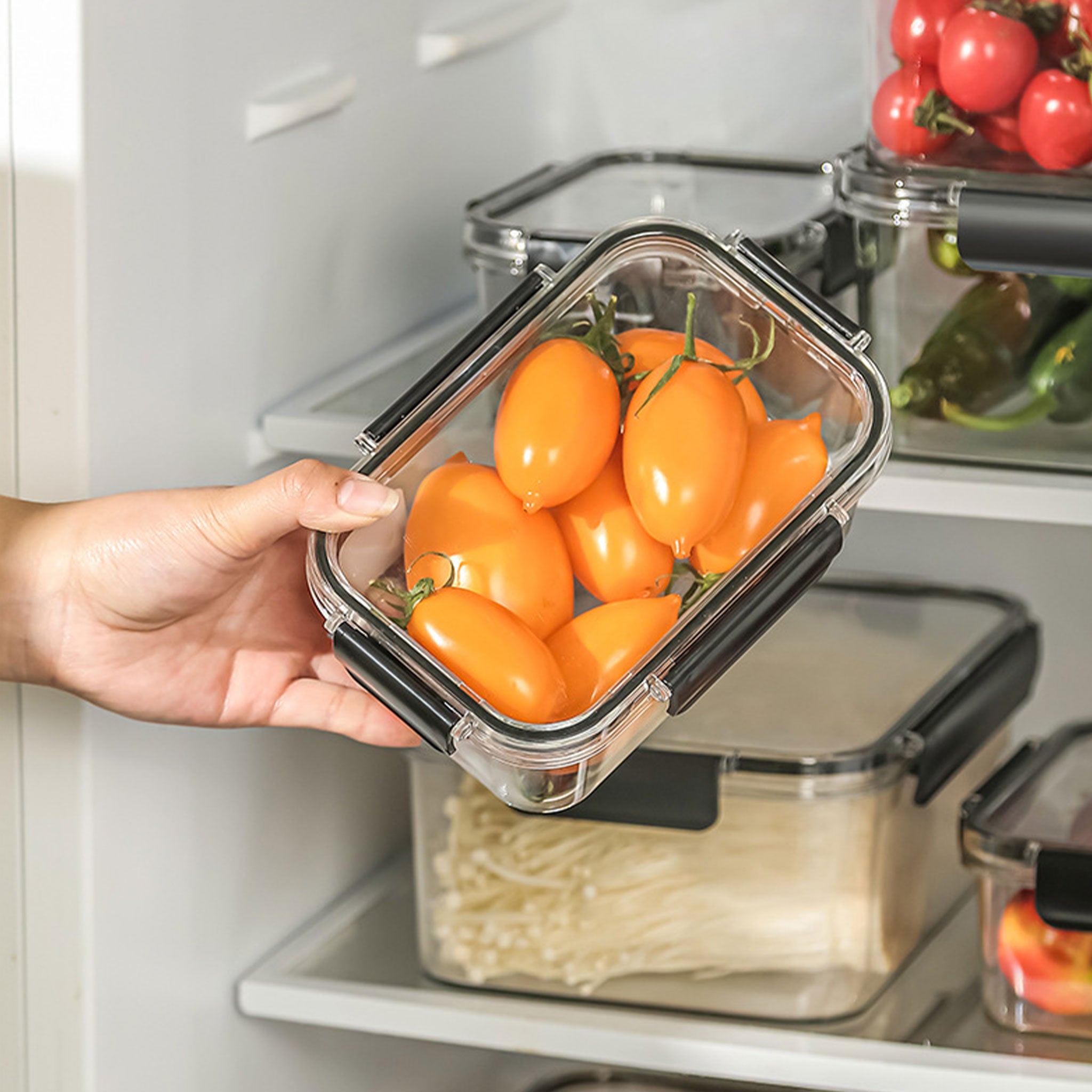 Transparent Sealed Fresh-Keeping Box